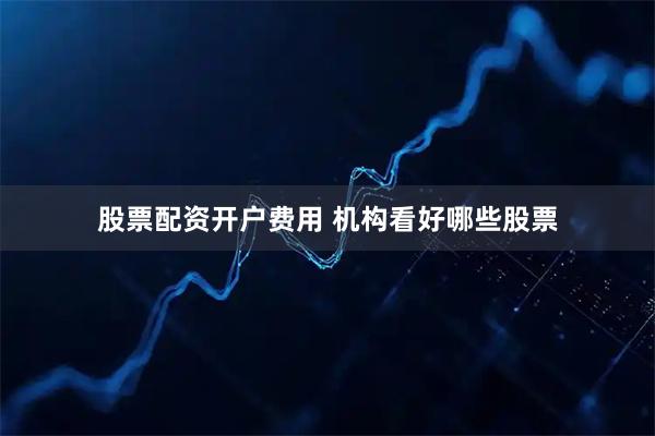 股票配资开户费用 机构看好哪些股票