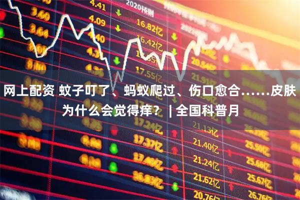 网上配资 蚊子叮了、蚂蚁爬过、伤口愈合……皮肤为什么会觉得痒？ | 全国科普月