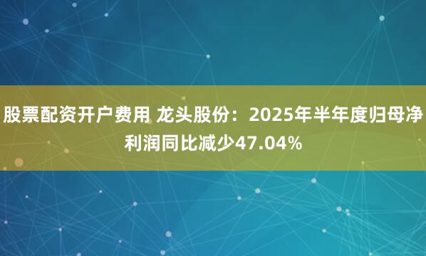 股票配资开户费用 龙头股份：2025年半年度归母净利润同比减少47.04%