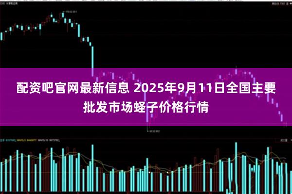 配资吧官网最新信息 2025年9月11日全国主要批发市场蛏子价格行情