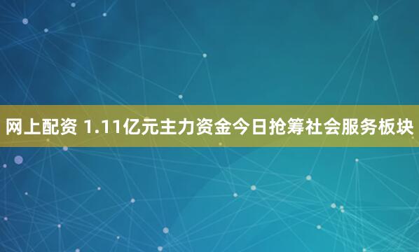 网上配资 1.11亿元主力资金今日抢筹社会服务板块