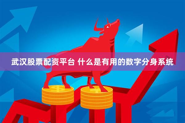 武汉股票配资平台 什么是有用的数字分身系统