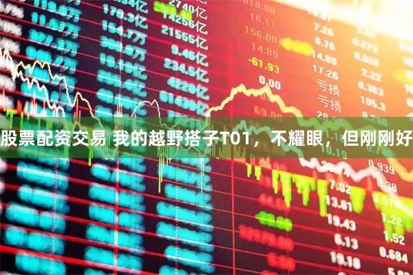 股票配资交易 我的越野搭子T01,不耀眼,但刚刚好